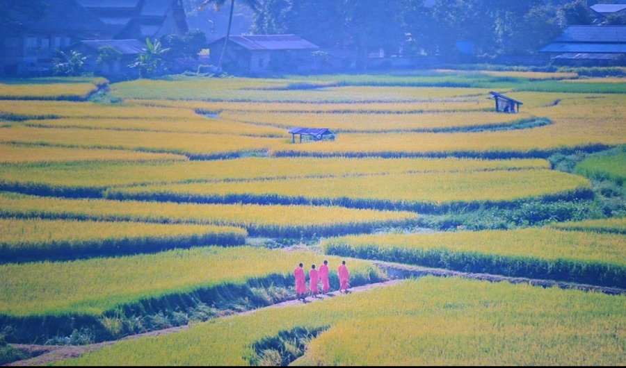 Home