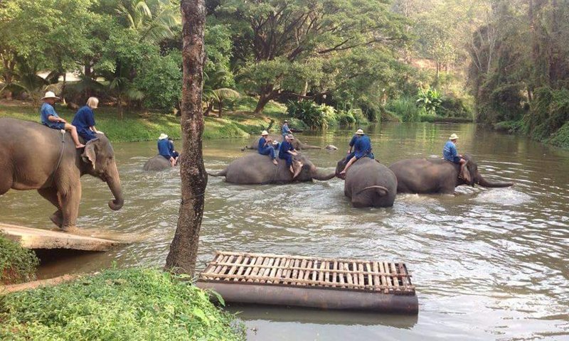 3 Days 2 Nights Discover Chiang Mai Package with Chiang Mai private driver