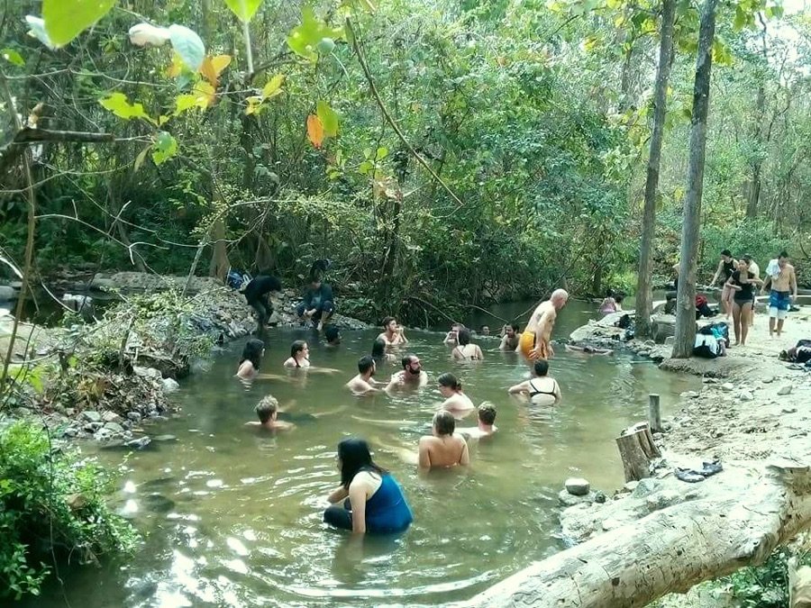 Forest and waterfall stop on a Chiang Mai private driver tour