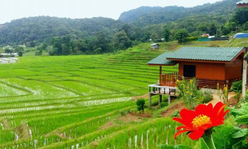 Doi Inthanon private driver tour from Chiang Mai